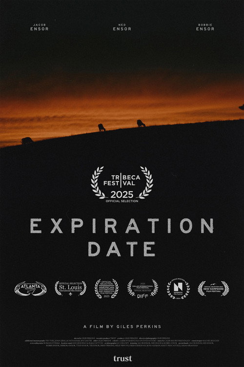 Movie poster for Expiration Date (2025)