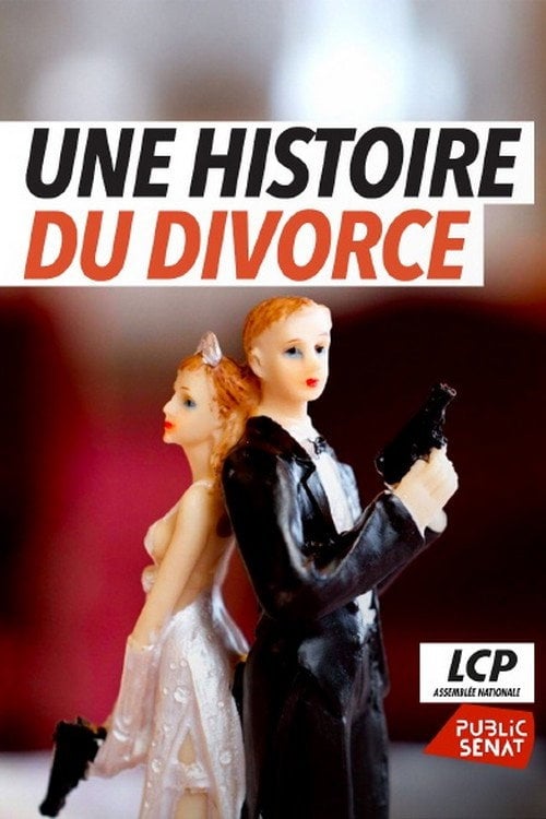 Movie poster for Une histoire du divorce (2025)