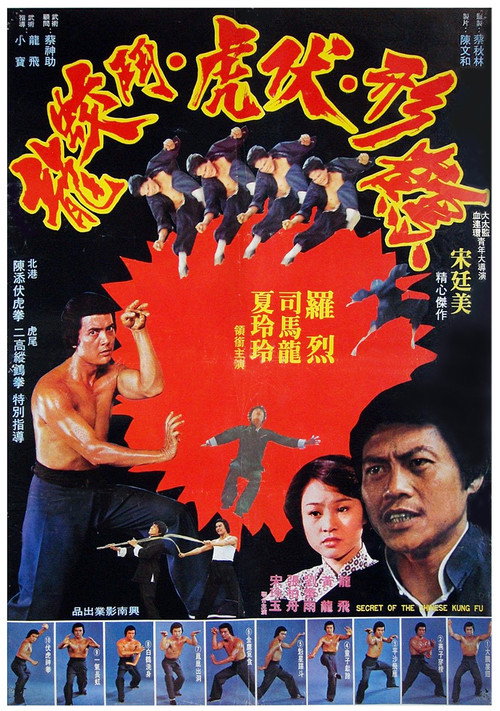 Movie poster for Secret of Chinese Kung Fu (1977)