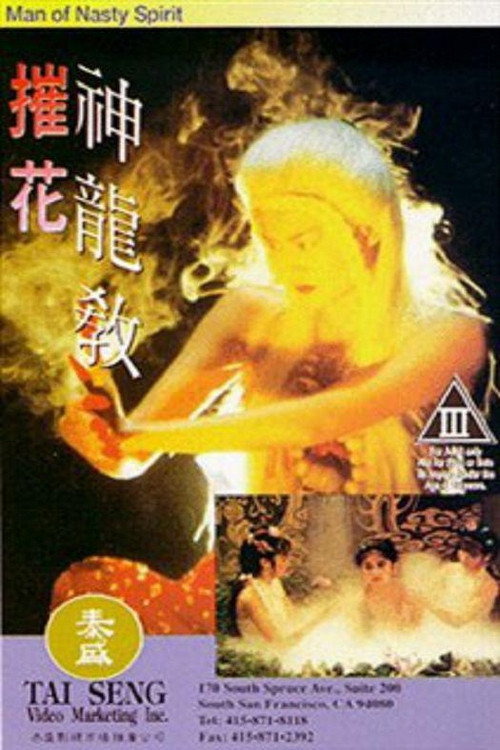 Movie poster for Man of Nasty Spirit (1993)