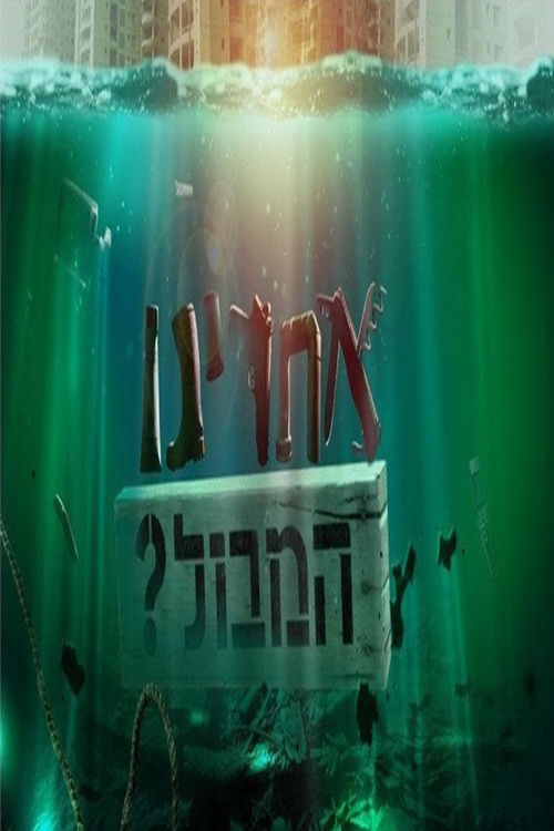 אחרינו המבול? poster