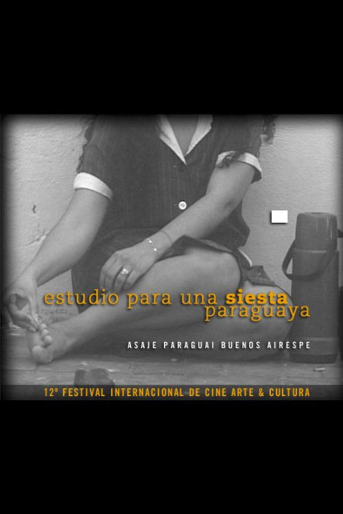 Movie poster for Estudio para una siesta paraguaya (2004)