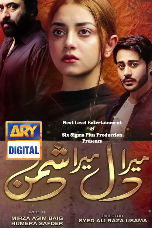 Mera Dil Mera Dushman poster