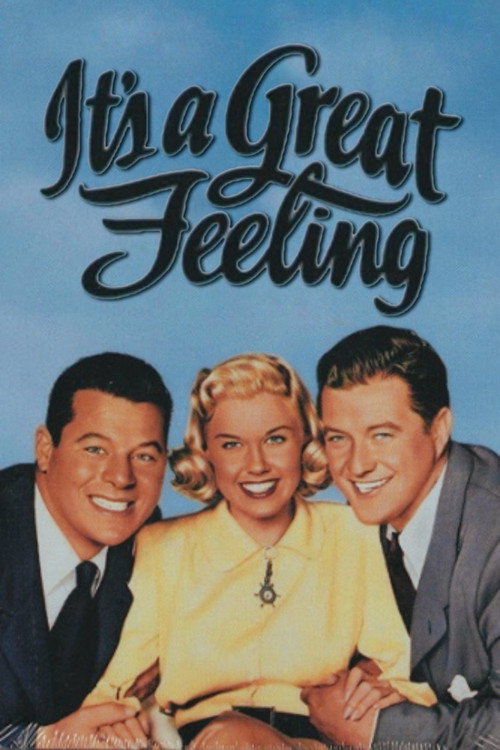 Movie poster for It's a Great Feeling (1949)