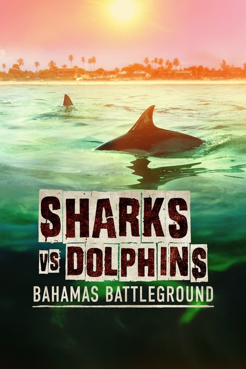 Movie poster for Sharks vs. Dolphins: Bahamas Battleground (2023)