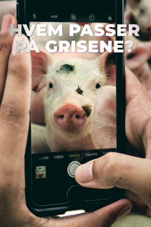 Movie poster for Hvem passer på grisene? (2024)