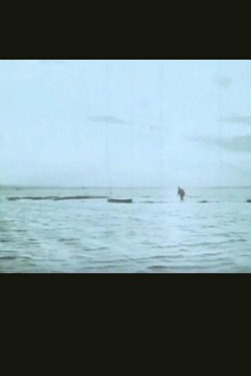 Movie poster for Il campo (1968)