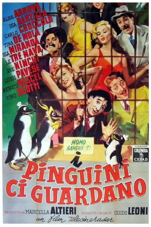 Movie poster for I pinguini ci guardano (1956)