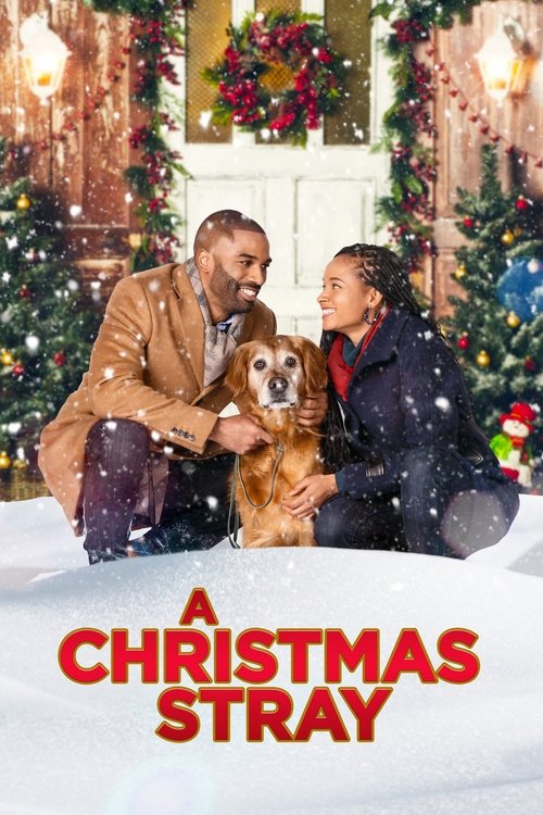 Movie poster for A Christmas Stray (2021)