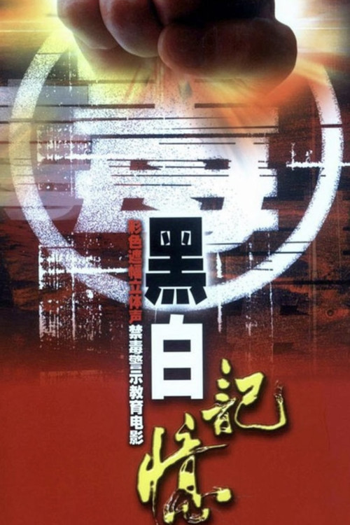 Movie poster for Black-and-White Memories (2009)