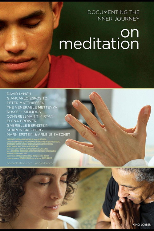 Movie poster for On Meditation (2016)