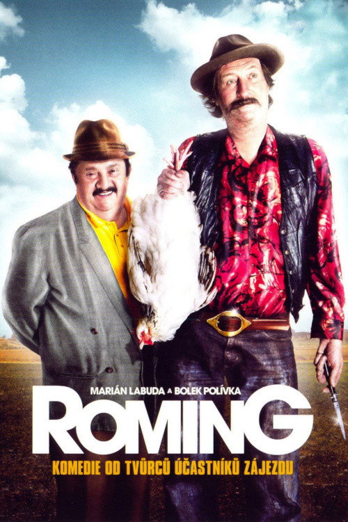 Movie poster for ROMing (2007)