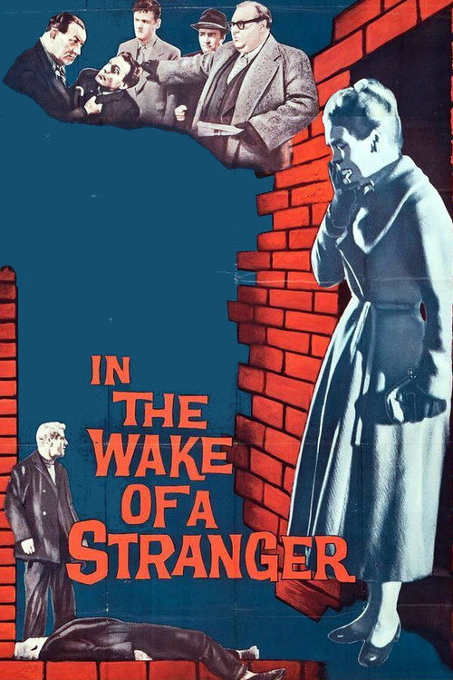 Movie poster for In the Wake of a Stranger (1959)