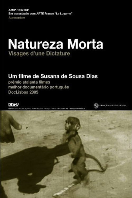 Movie poster for Still Life (2005)