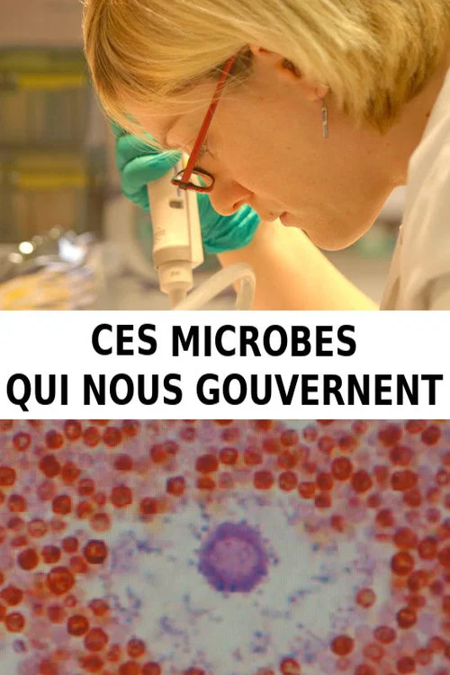 Movie poster for Ces microbes qui nous gouvernent (2016)