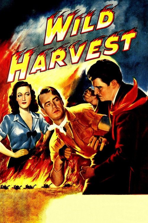 Movie poster for Wild Harvest (1947)
