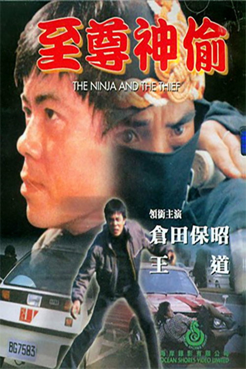Movie poster for To Catch a Thief (1984)