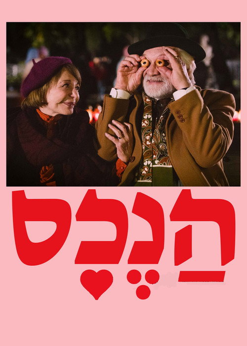 Movie poster for The Property (2024)