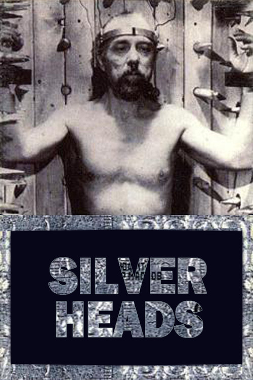 Movie poster for Silver Heads (1999)