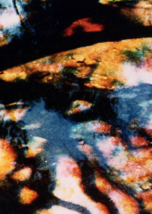 Movie poster for Warrah (1980)