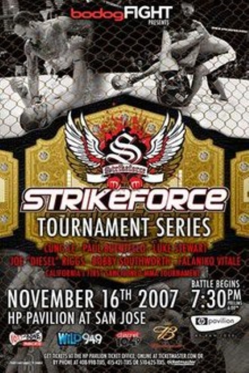 Movie poster for Strikeforce: Four Men Enter, One Man Survives (2007)