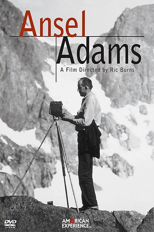 Movie poster for Ansel Adams (2002)