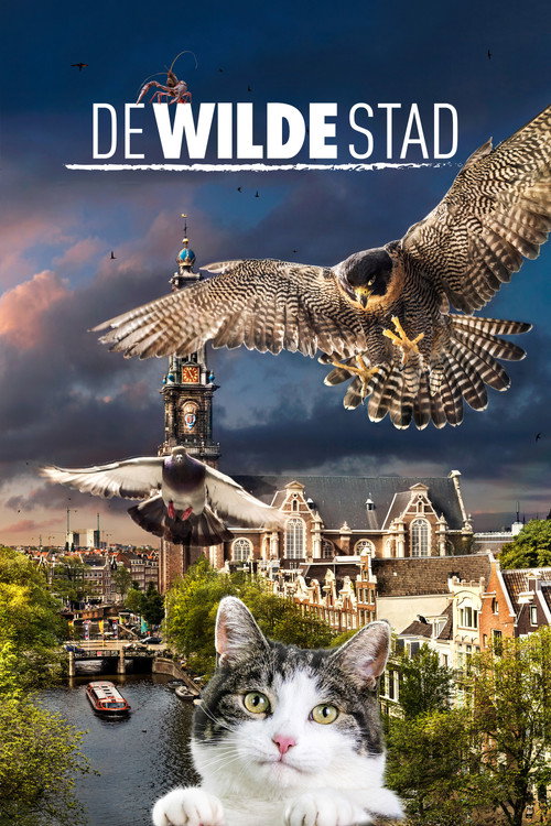Movie poster for Wild Amsterdam (2018)