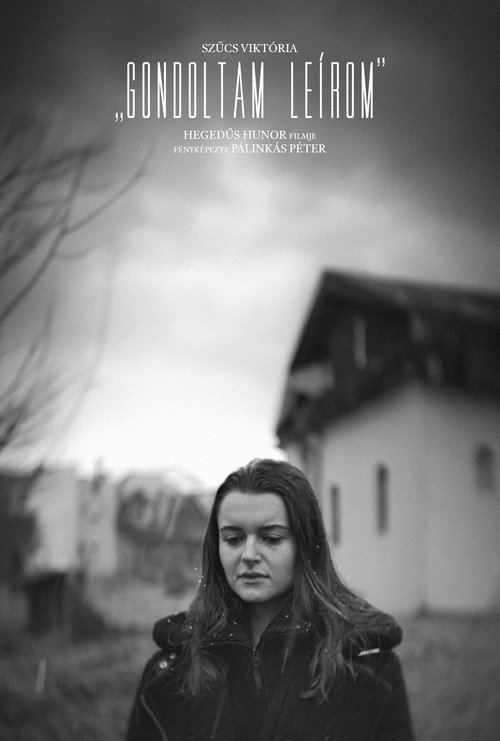 Movie poster for Gondoltam leírom (2024)