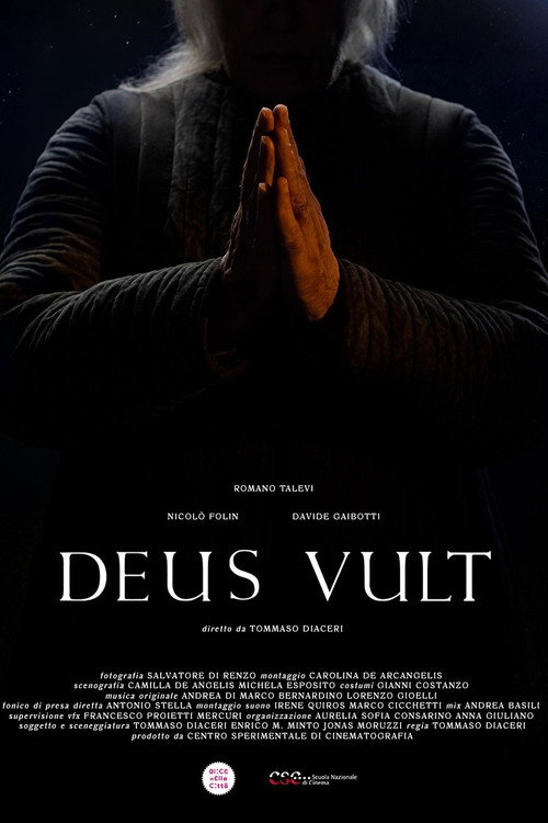 Movie poster for Deus Vult (2024)