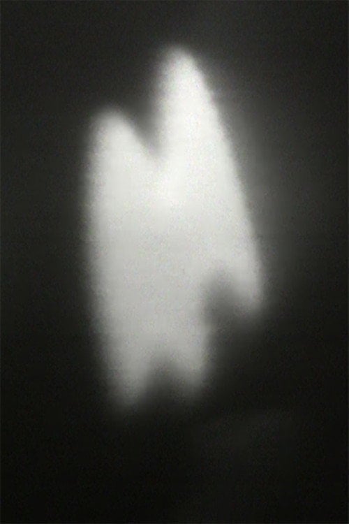 Movie poster for Pig Music (1971)