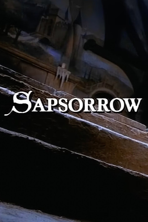 Movie poster for The Storyteller: Sapsorrow (1988)