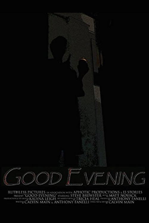Movie poster for Good Evening (2016)