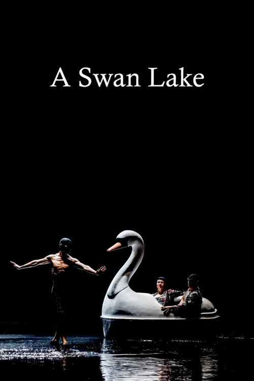 Movie poster for A Swan Lake (2014)