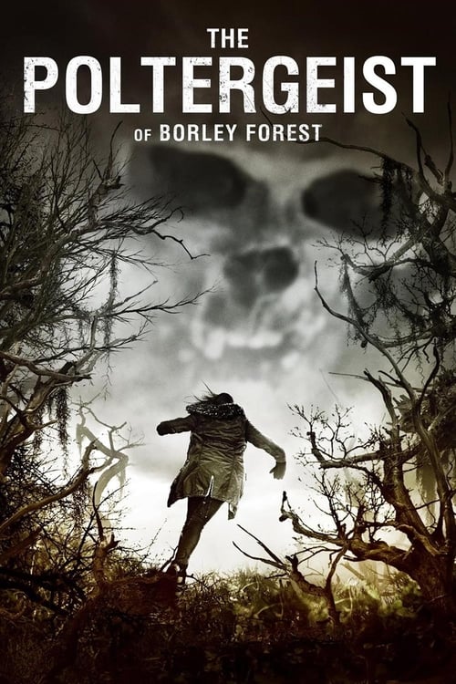 Movie poster for The Poltergeist of Borley Forest (2016)