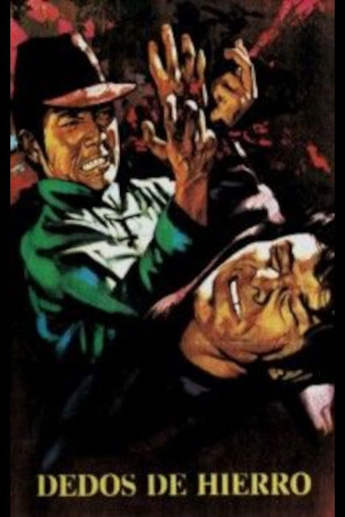 Movie poster for The Righteous Fist (1972)