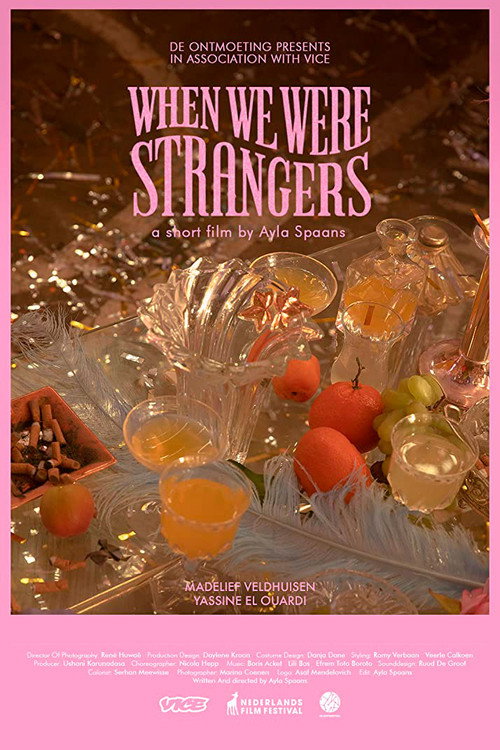 Movie poster for When We Were Strangers (2019)