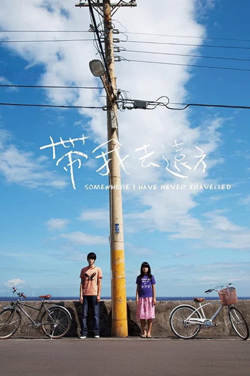 Movie poster for Somewhere I Have Never Travelled (2009)