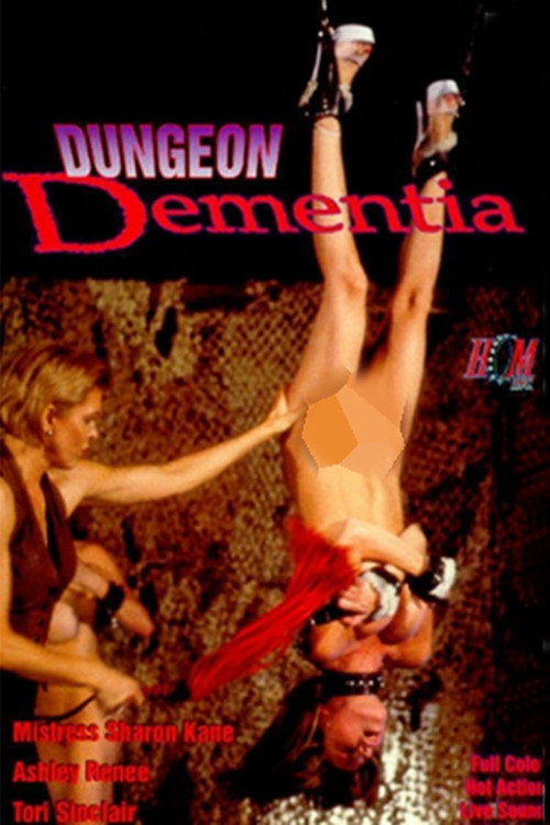 Movie poster for Dungeon Dementia (1995)