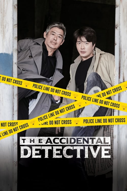 Movie poster for The Accidental Detective (2015)