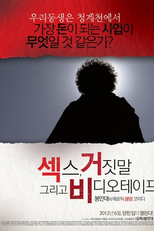 Movie poster for Sex, Lies and Videotape (2012)