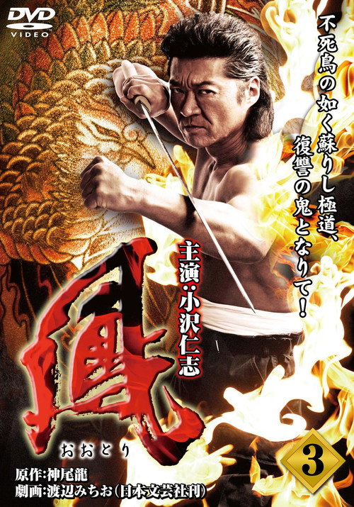 Movie poster for Ootori 3 (2009)