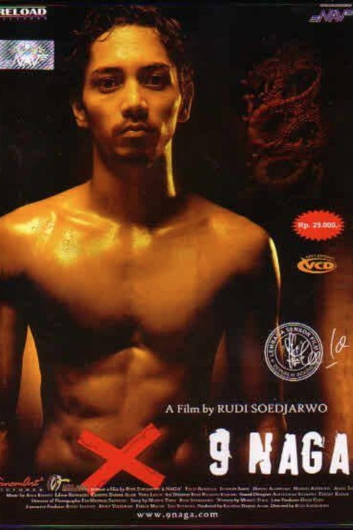 Movie poster for The Nine Dragon (2006)