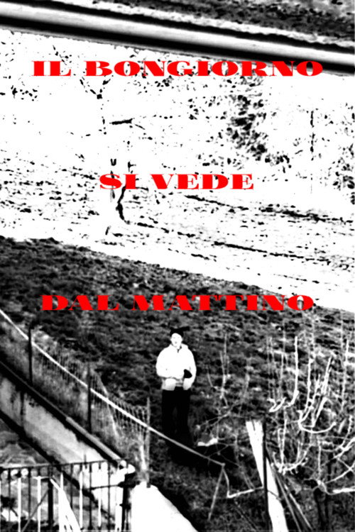 Movie poster for Il bongiorno si vede dal mattino (2025)
