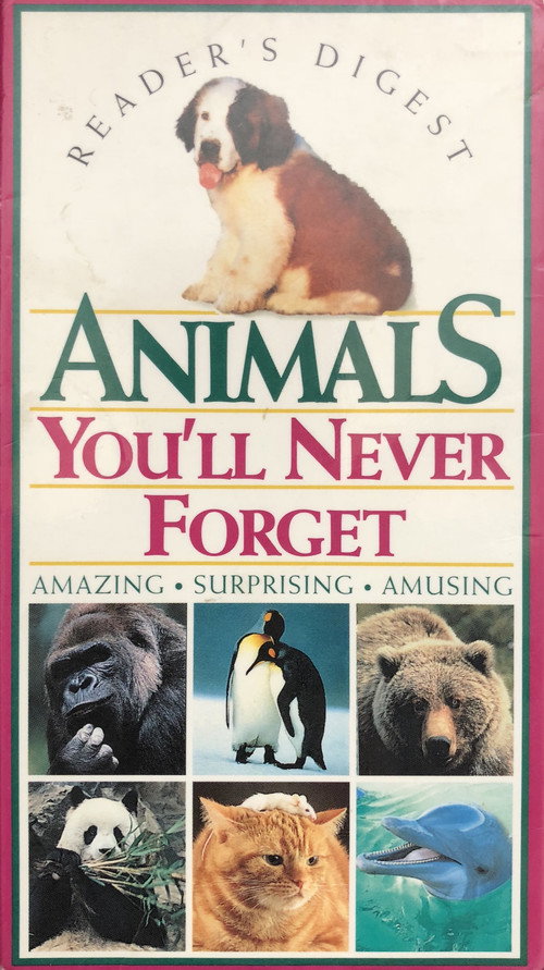 Movie poster for Animals You'll Never Forget (1994)
