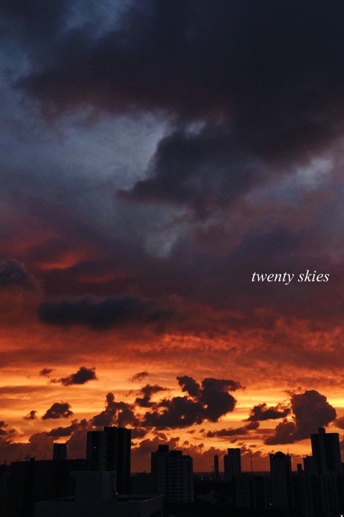 Movie poster for Twenty Skies (2021)