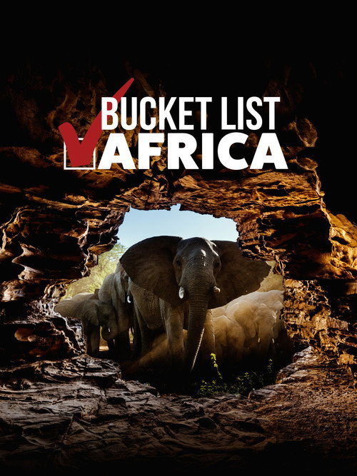 Movie poster for Bucket List: Africa (2021)
