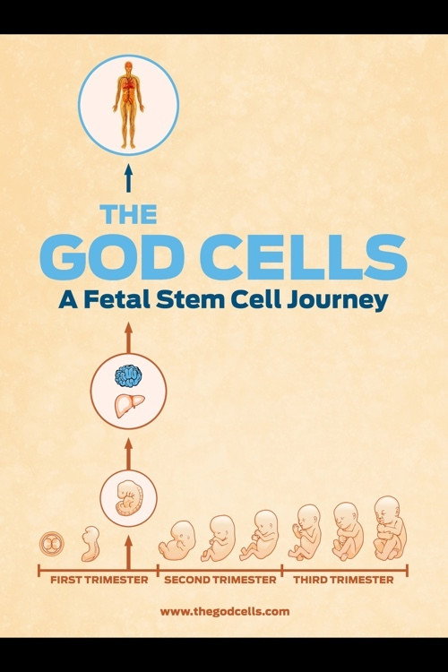 Movie poster for The God Cells (2016)