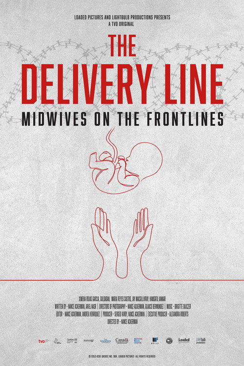 Movie poster for The Delivery Line (2026)