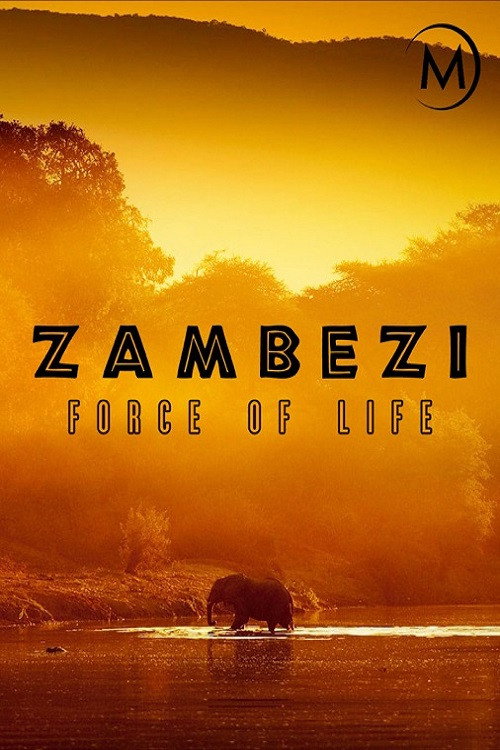 Movie poster for Zambezi: Force of Life