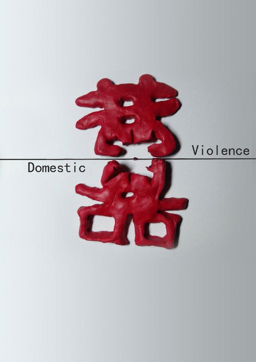 中国反家暴纪事 poster